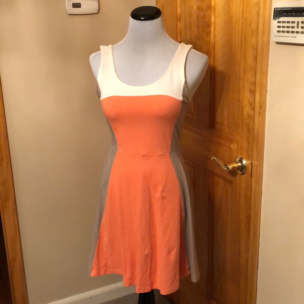 Express stretch dress